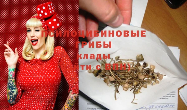 таблы Пересвет